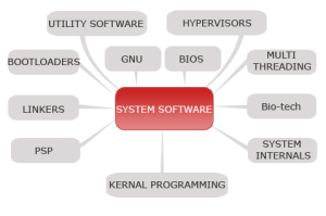 advantages and disadvantages of special purpose software